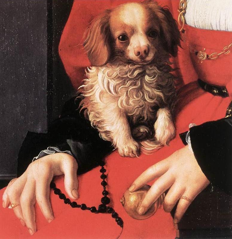 Portrait of a Lady with a Puppy (detail) fg