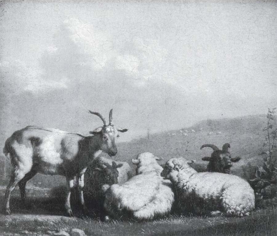 Bathing Girls,White Bay Cantire(Scotland)