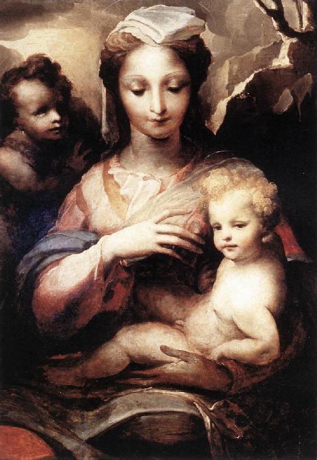 Madonna with the Infant Christ and St John the Baptist gfgf