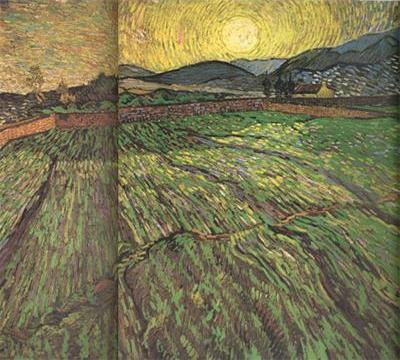 Enclosed Field with Risihng Sun (nn04)