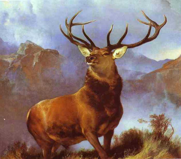 Monarch of the Glen