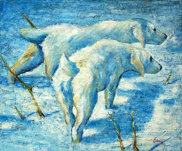 Siberian Dogs in the Snow