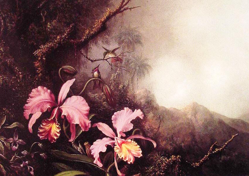Two Orchids in a Mountain Landscape