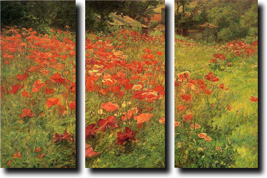 In Poppyland