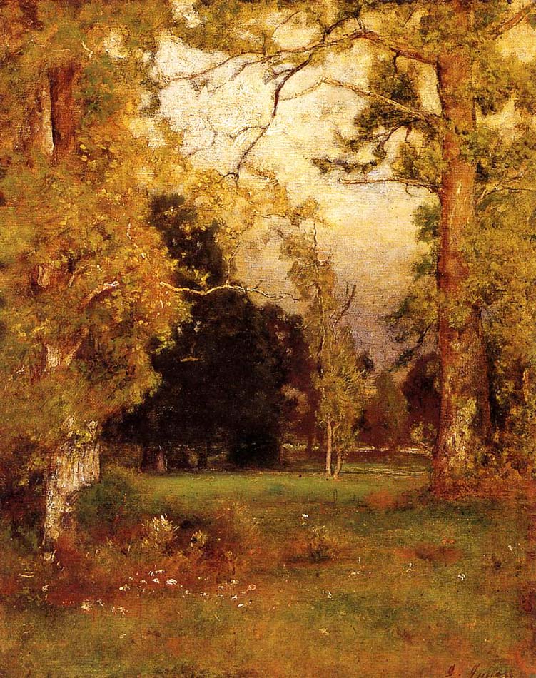 Late Afternoon