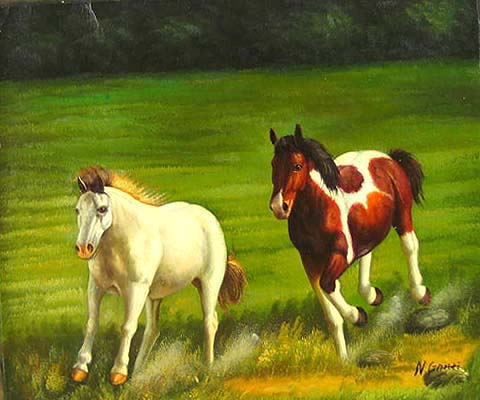Wild Horses