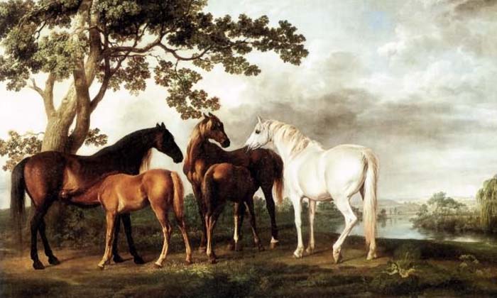 Mares and Foals in a River