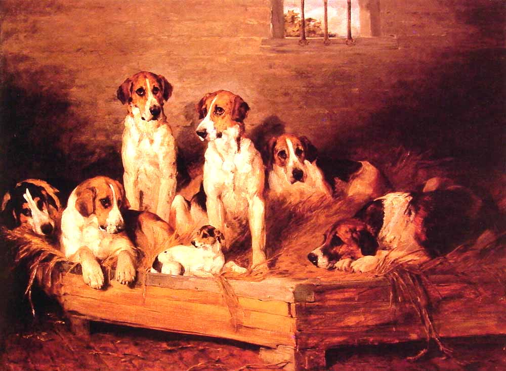 Foxhounds and terriers in a Kennel