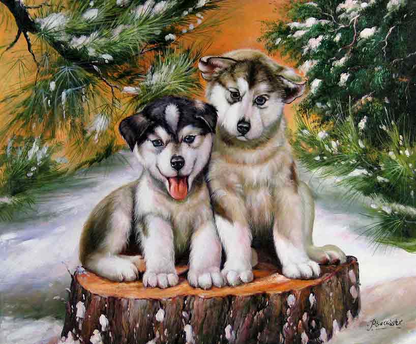 Huskies