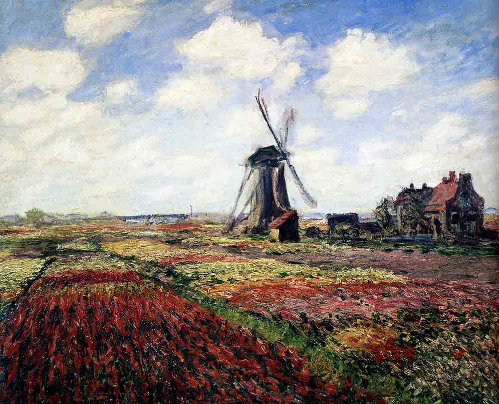 Tulip Fields With the Rijnsburg Windmill