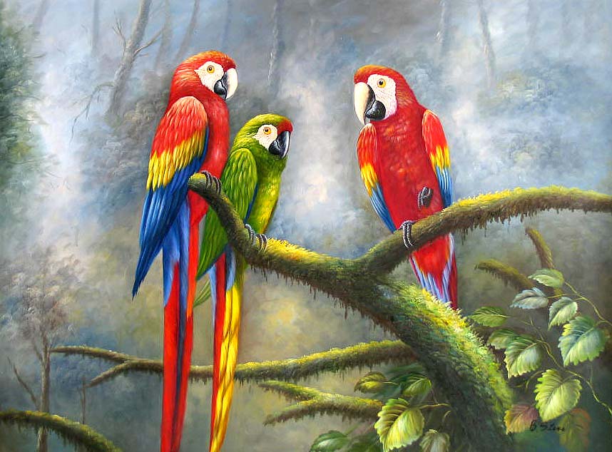 Jungle Parrots