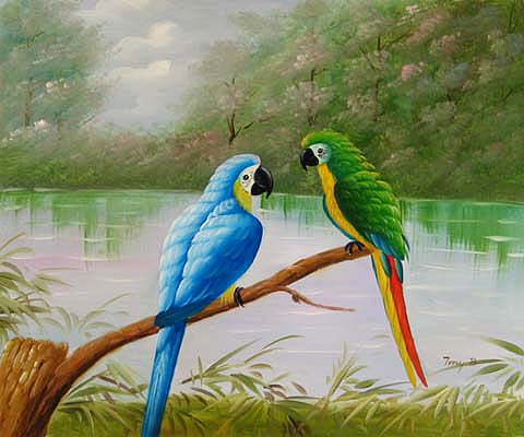 Parrots