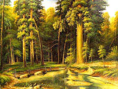 Sunlit Forest