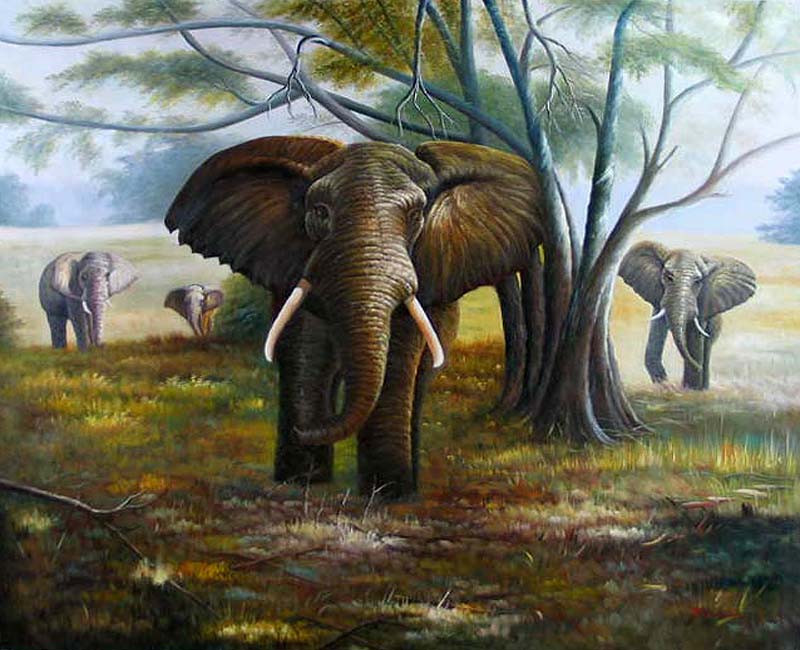 Elephants