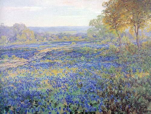 Fileds of Bluebonnets