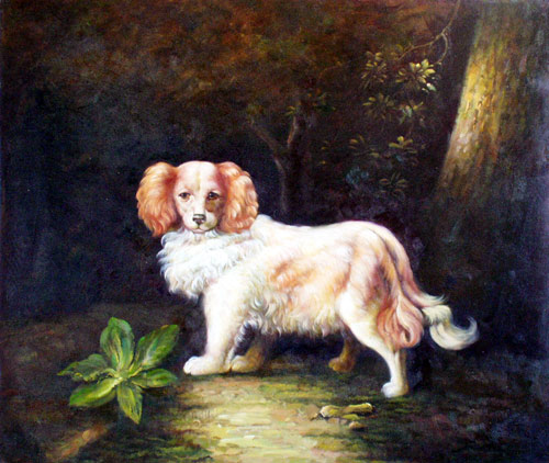 King Charles Spaniel