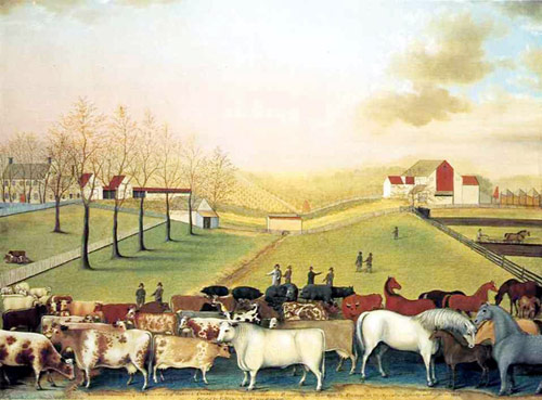 The Cornell Farm