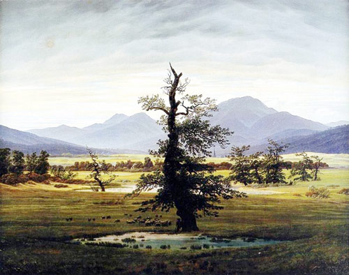 The Lone Tree