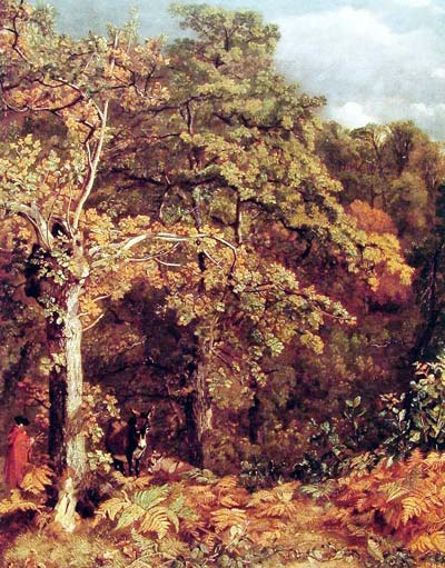 Wooded Landscape