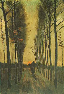 Avenue of Poplars at Sunset