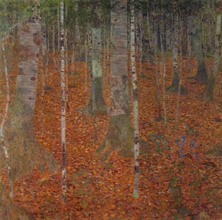 Birch Woods