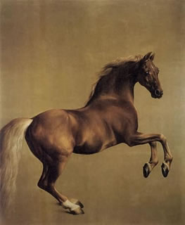 Whistlejacket