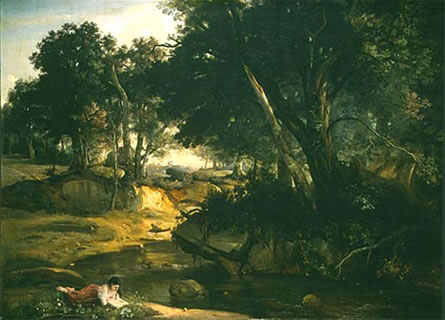 Forest of Fontainbleau