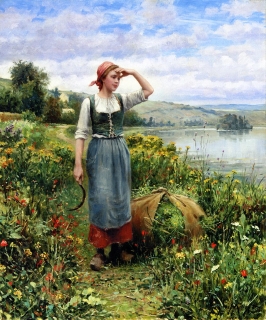 A Field of Flowers