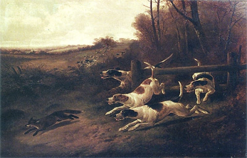 Fox Hunting