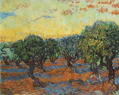 Olive Grove: Orange Sky