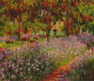 The Garden with colorful flowers