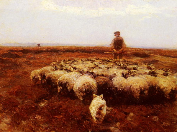 Shepherd on the Meadow