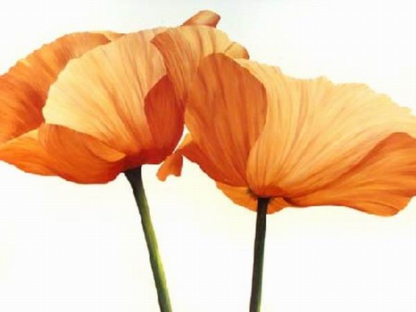 07flower019