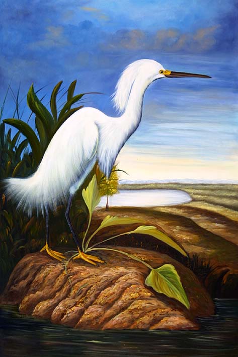 White Egret