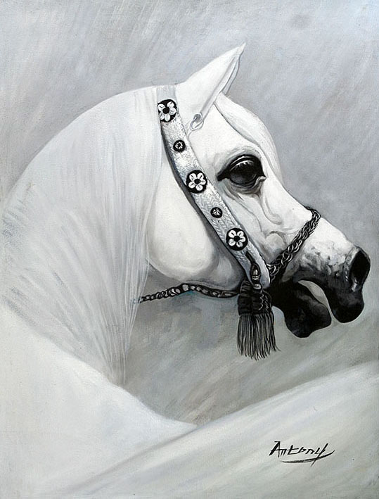 Horse Portrait