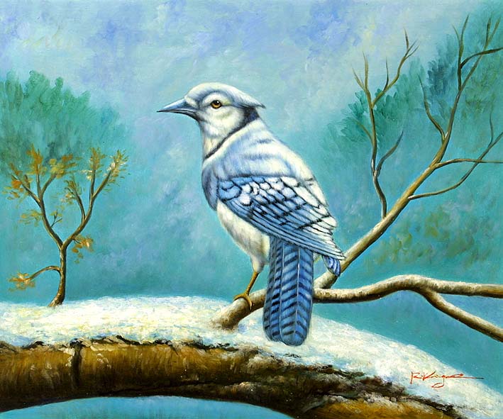 Blue Jay On A Winter Day