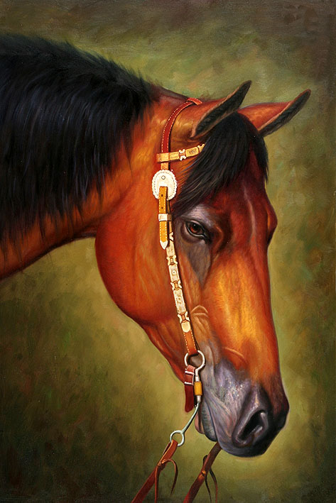 Horse Portrait