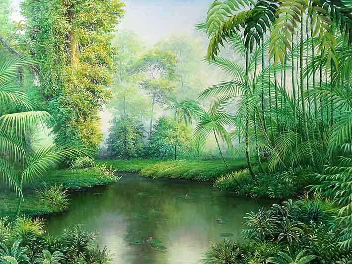 Lily Creek