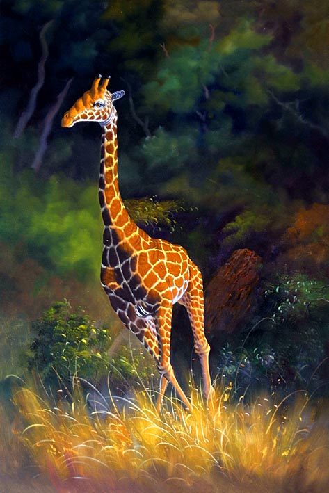 Trotting Giraffe