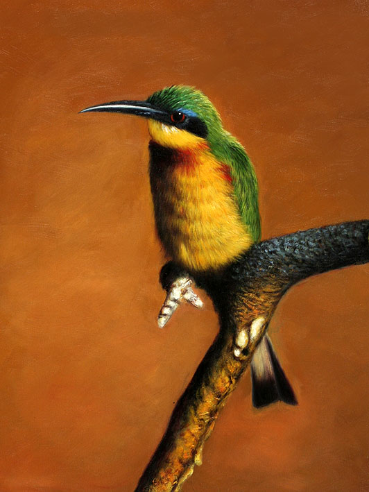 Bee-Eater