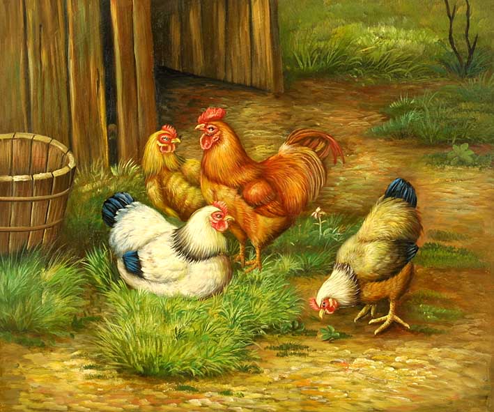 The Rooster and the Three Hens