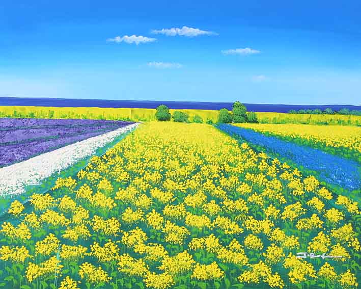 Rapeseed Field