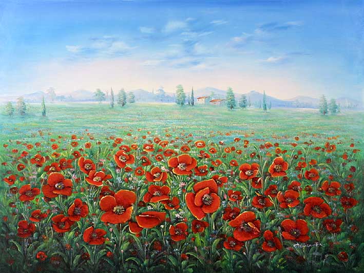 Field of Poppies