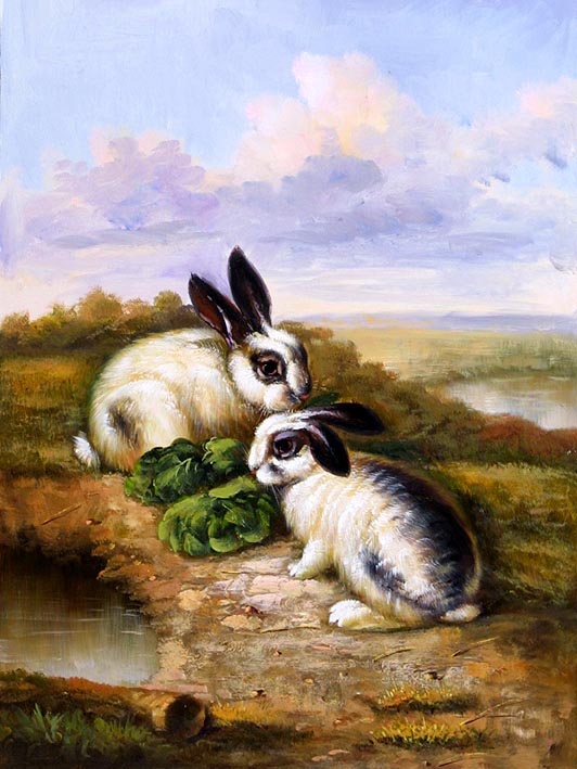 Lettuce Lunch
