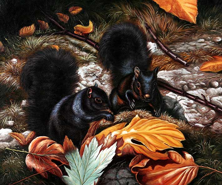 Squirrels in Black