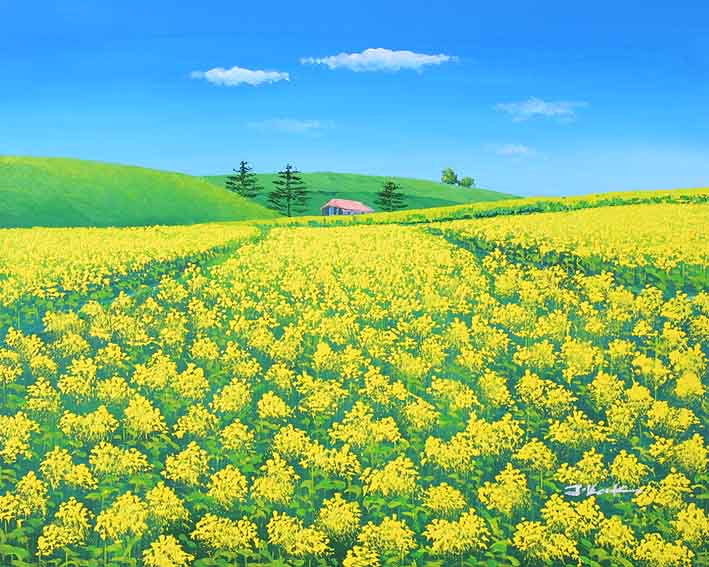 Rapeseed Field