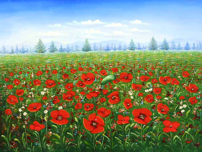 Red Poppy Fields