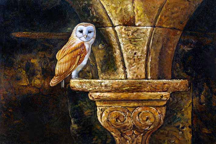 Church Owl