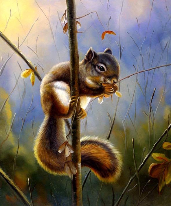 Leaf-eating Squirrel