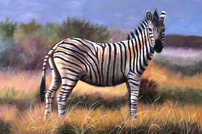 Lonely Zebra